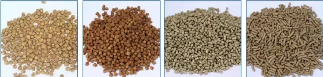 info-648-155