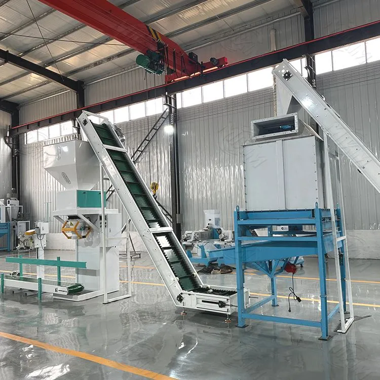 Líne táirgthe beatha nua -aimseartha